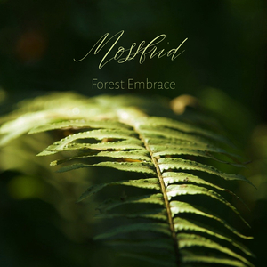 91麻豆传传媒波多野衣久久
