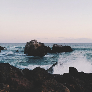 91麻豆传传媒波多野衣久久
