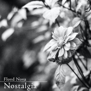 91麻豆传传媒波多野衣久久
